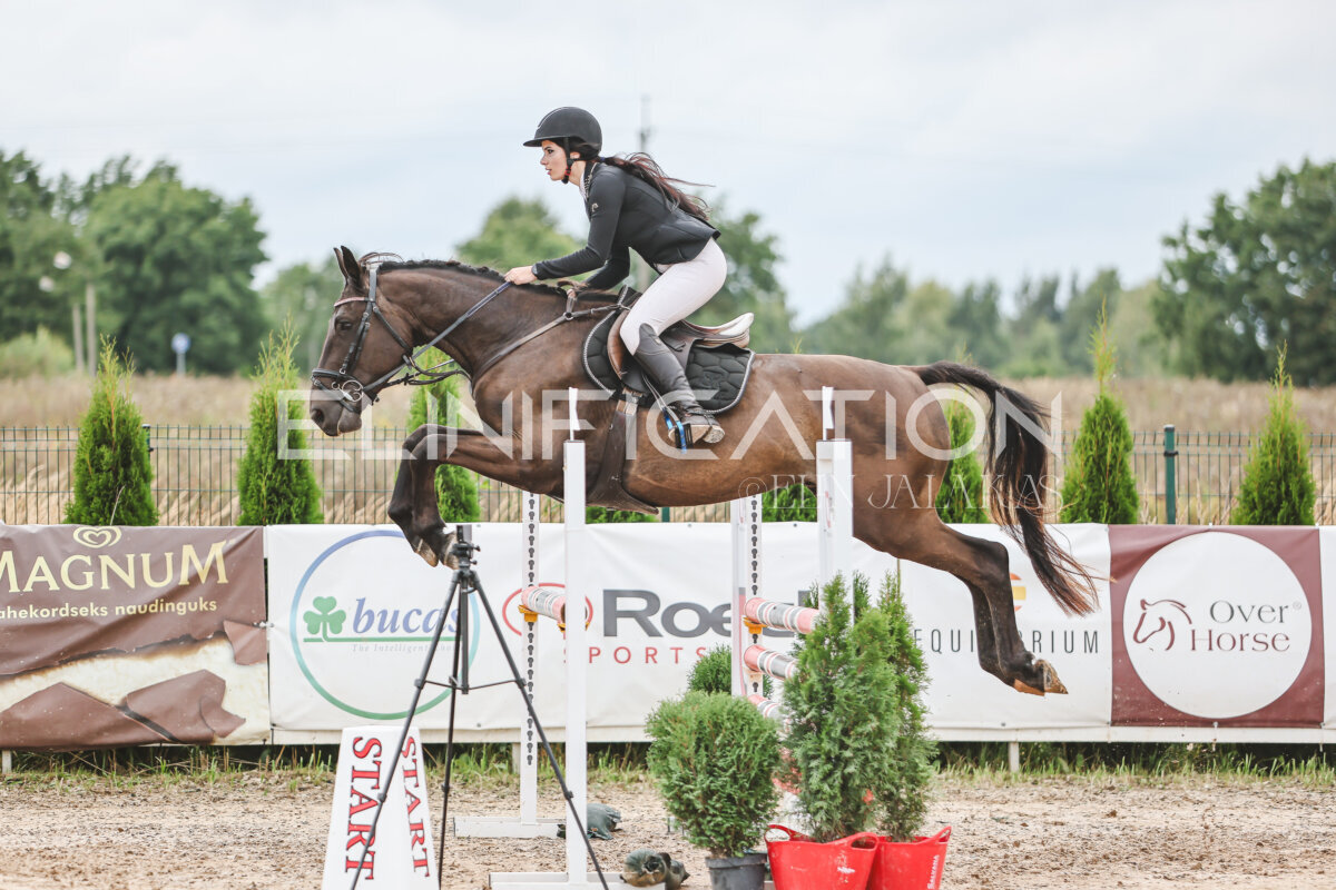 NHTS_2026_15_110cm_060