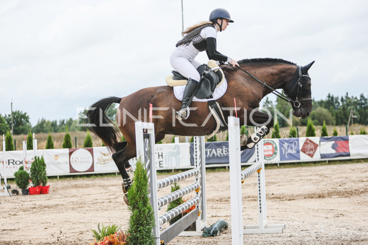 NHTS_2026_15_110cm_069