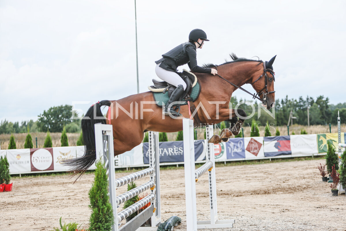 NHTS_2026_15_110cm_077