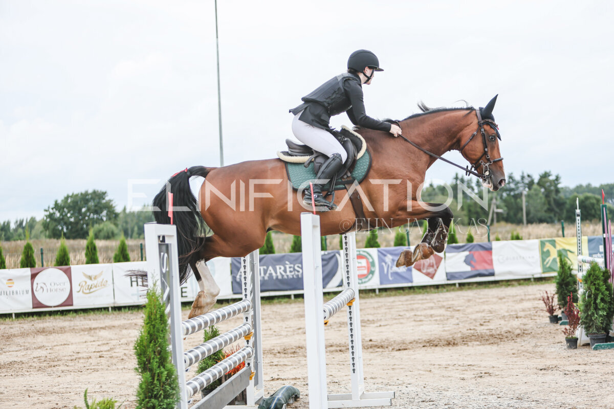 NHTS_2026_15_110cm_078