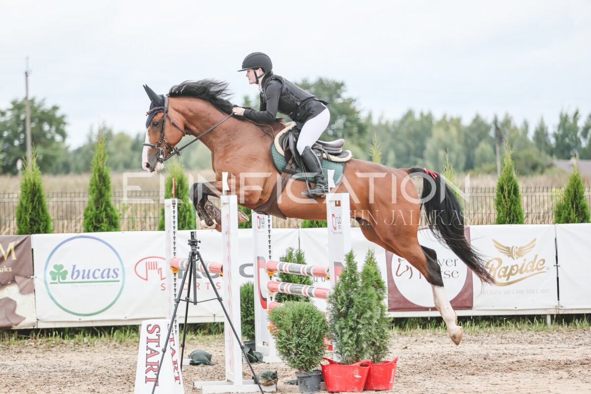 NHTS_2026_15_110cm_080