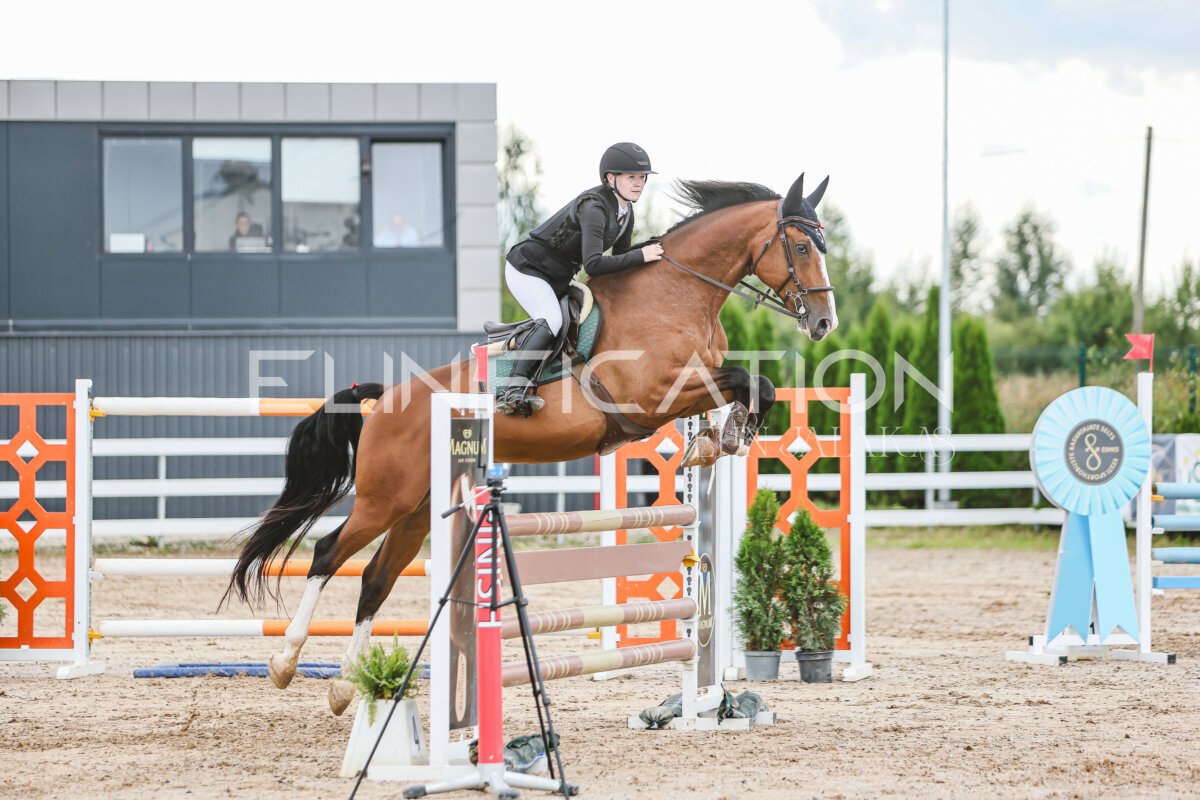 NHTS_2026_15_110cm_084