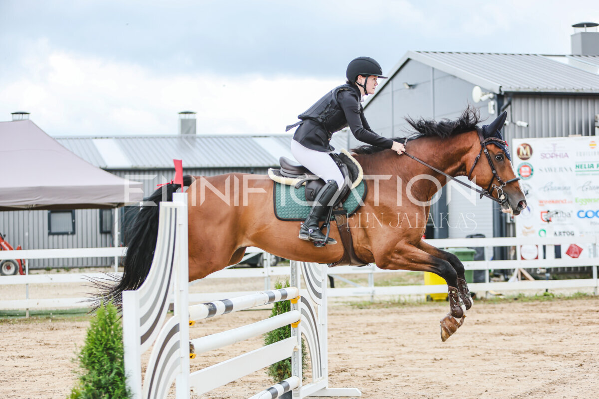 NHTS_2026_15_110cm_093