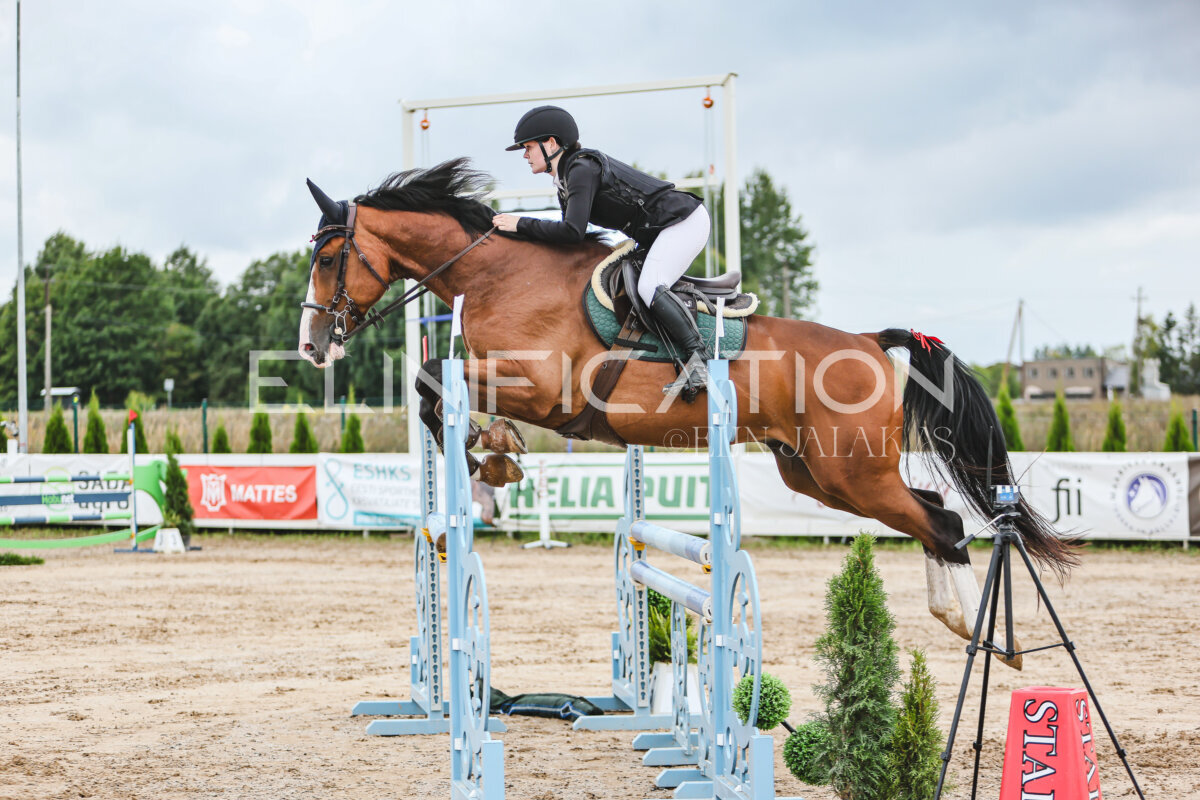 NHTS_2026_15_110cm_100