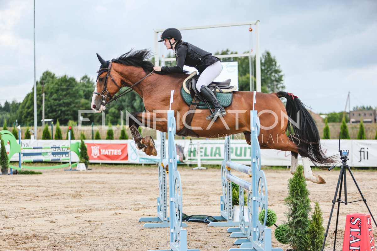 NHTS_2026_15_110cm_101