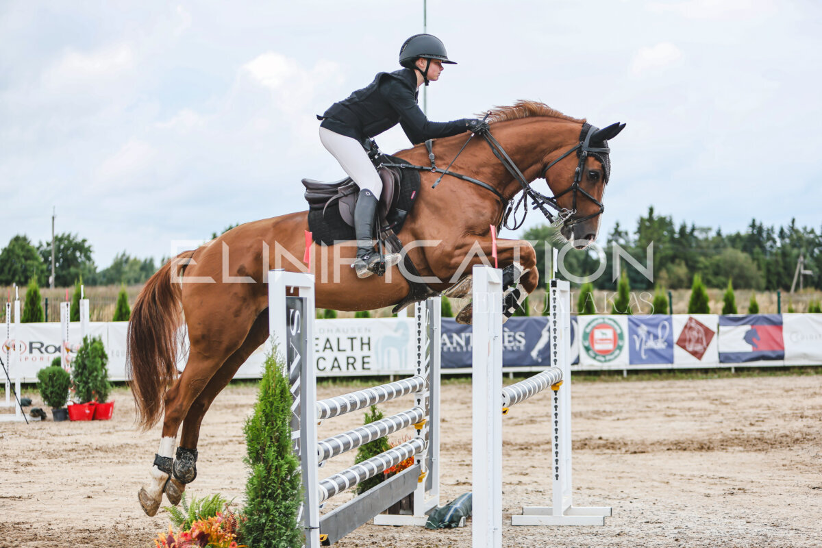 NHTS_2026_15_110cm_104