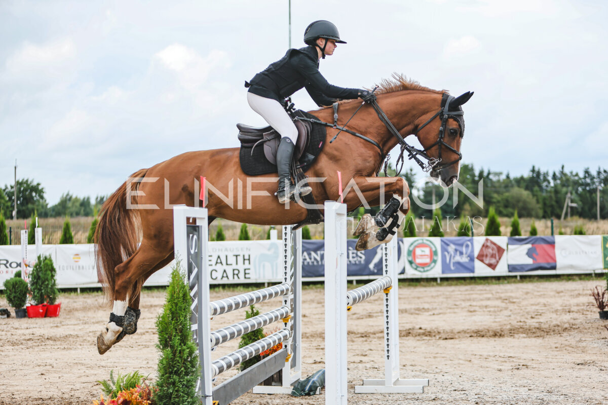 NHTS_2026_15_110cm_105