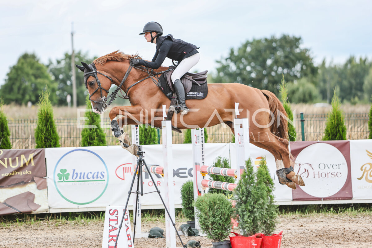 NHTS_2026_15_110cm_109