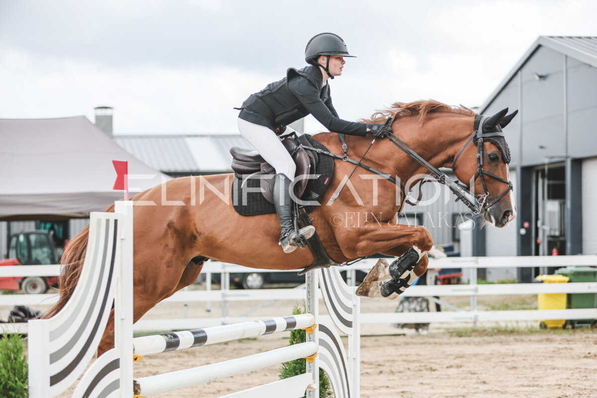 NHTS_2026_15_110cm_114