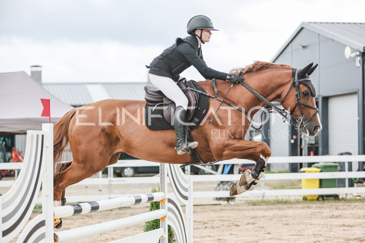 NHTS_2026_15_110cm_115