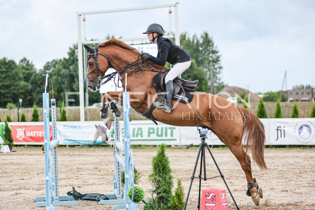 NHTS_2026_15_110cm_120