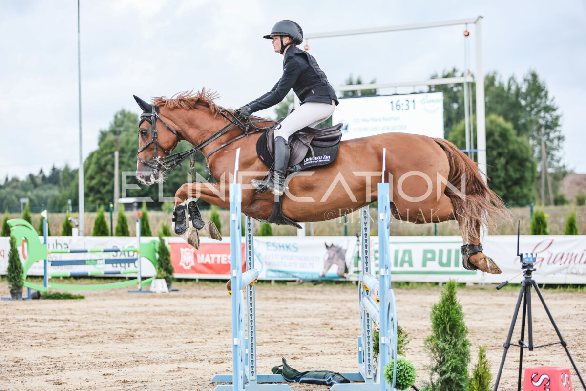 NHTS_2026_15_110cm_124