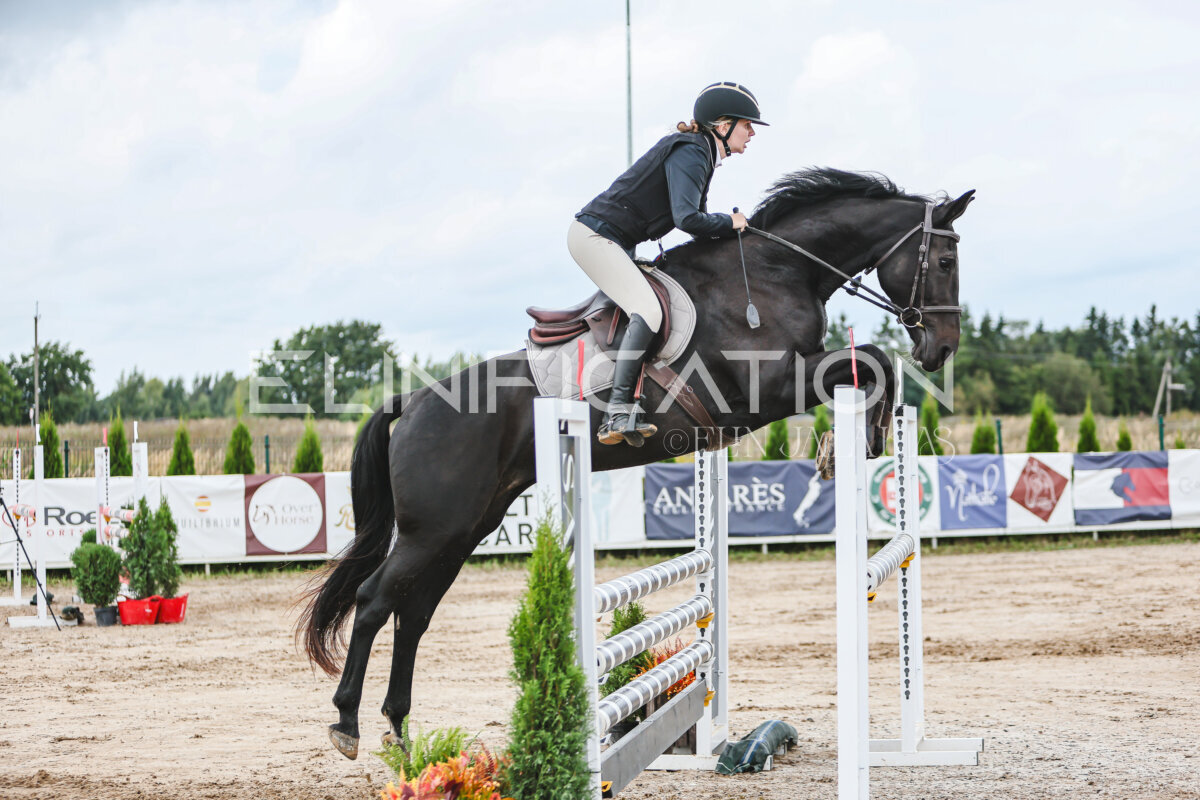NHTS_2026_15_110cm_125