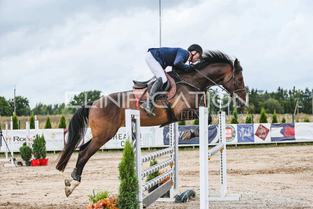 NHTS_2026_15_110cm_133
