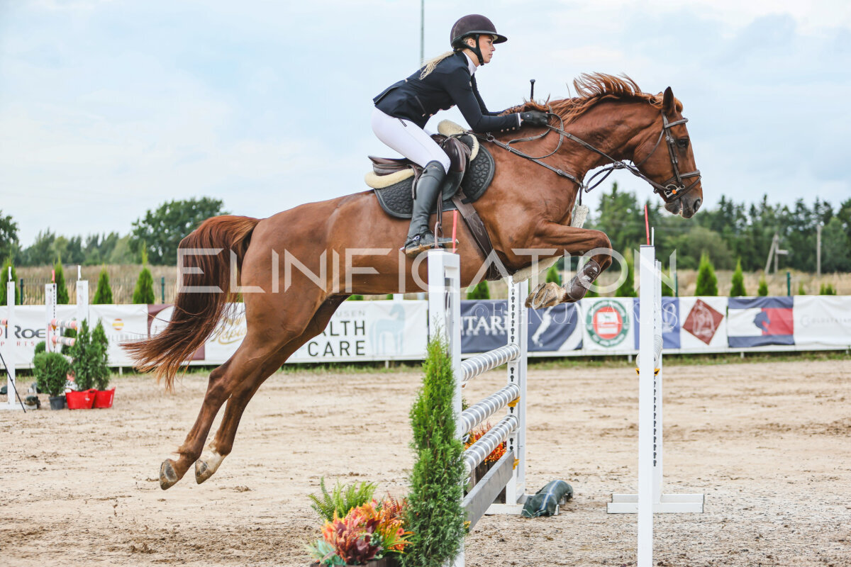 NHTS_2026_16_120cm_052