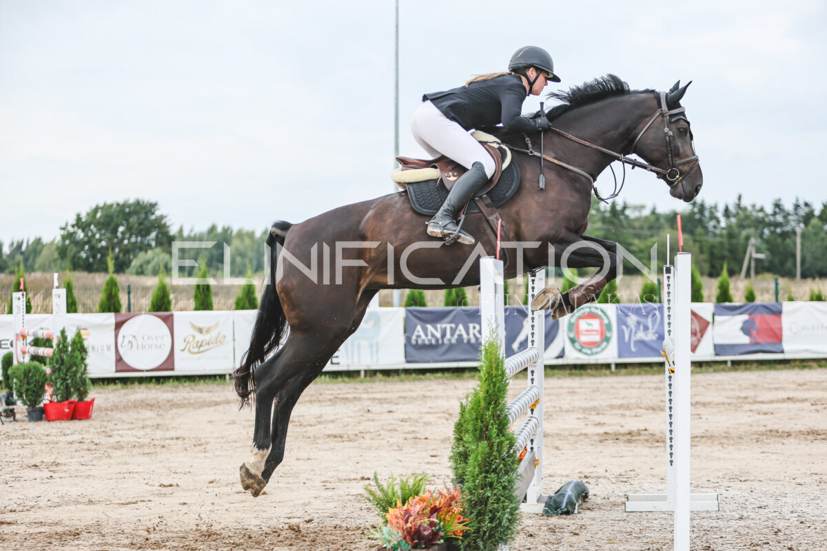 NHTS_2026_16_120cm_069