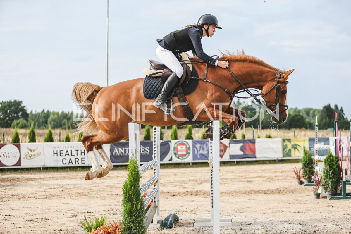 NHTS_2026_16_120cm_121