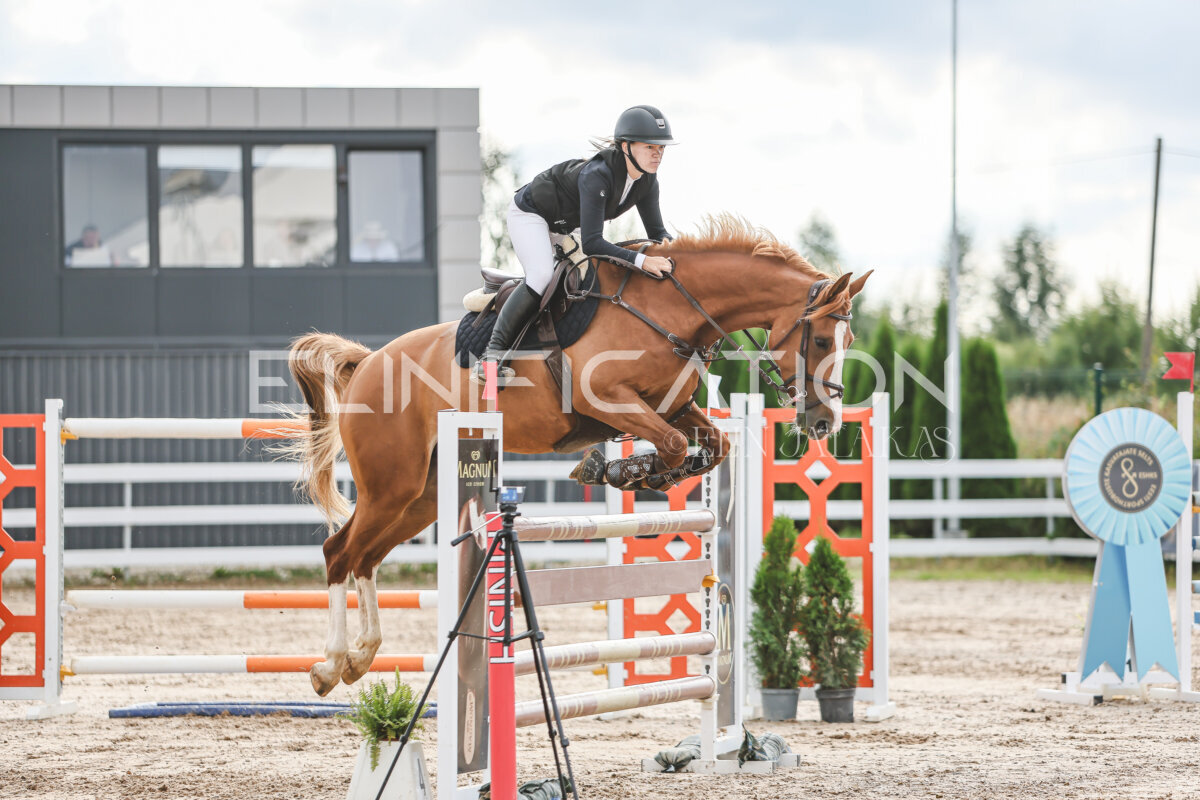 NHTS_2026_16_120cm_125