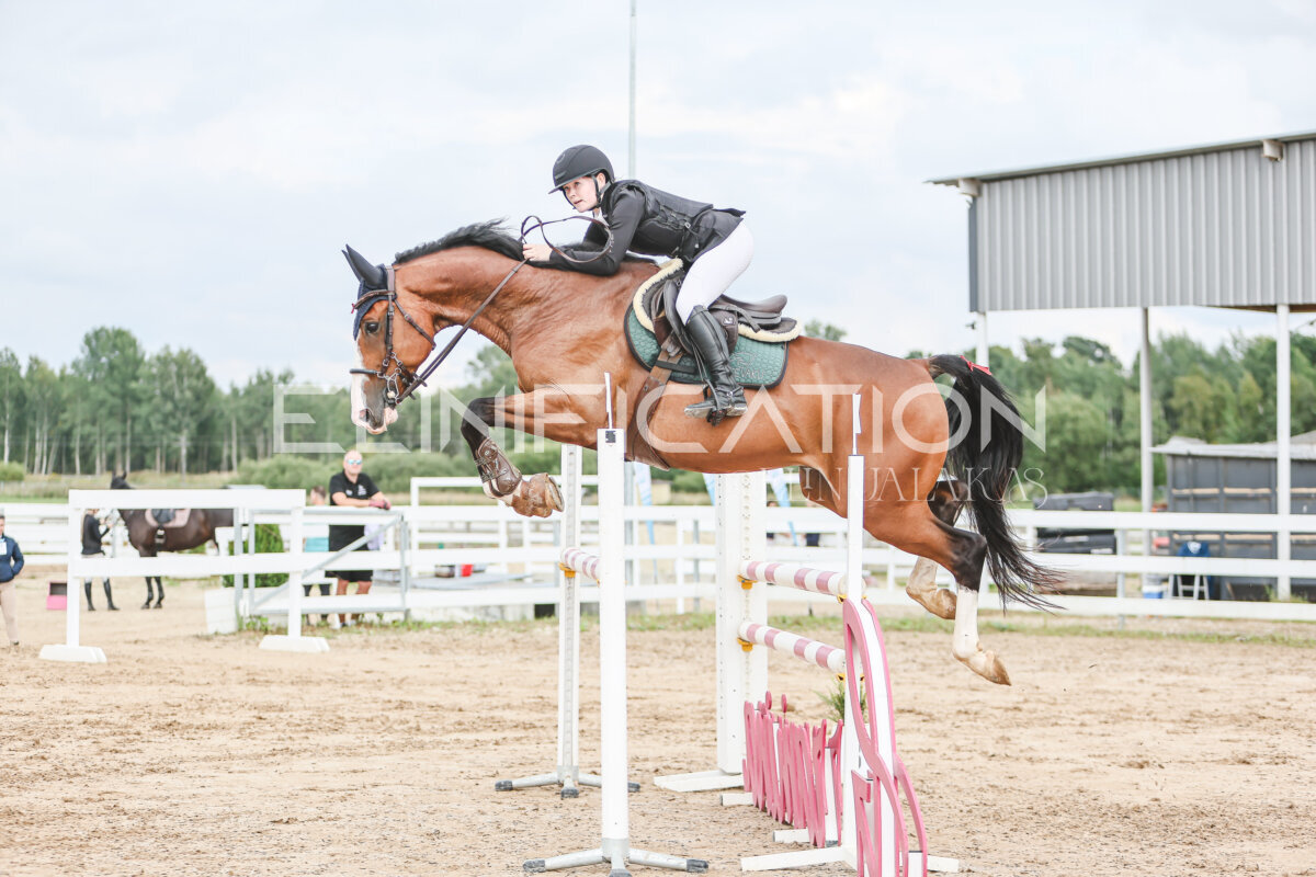 NHTS_2026_16_120cm_140