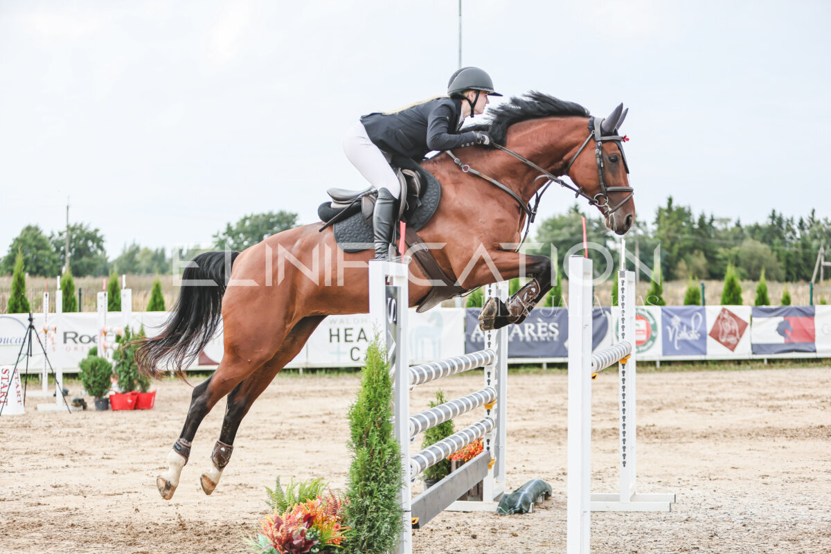 NHTS_2026_16_120cm_145