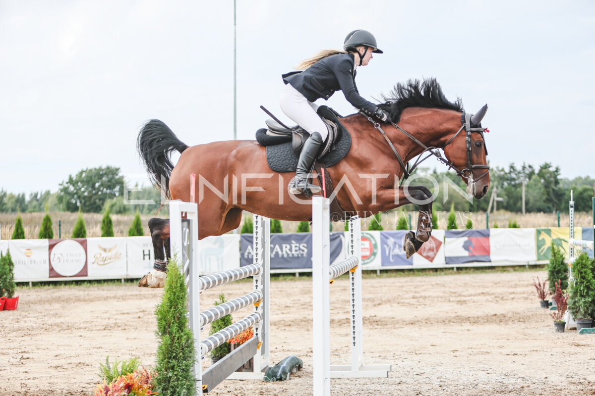 NHTS_2026_16_120cm_148
