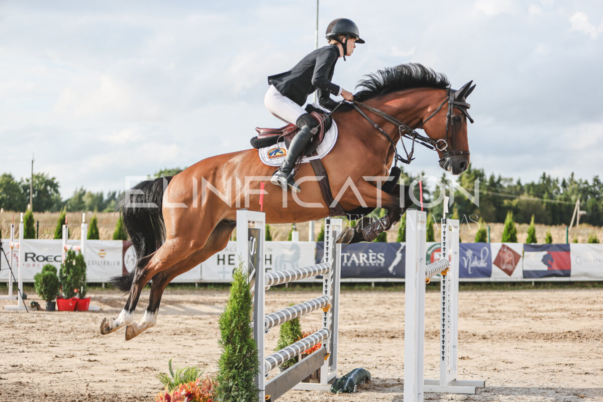 NHTS_2026_17_130cm_001