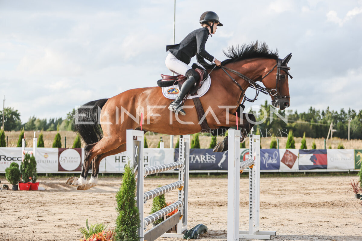 NHTS_2026_17_130cm_002