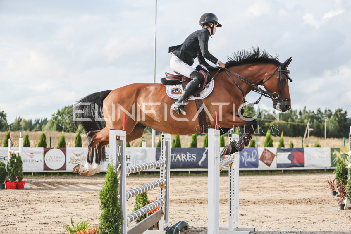 NHTS_2026_17_130cm_003