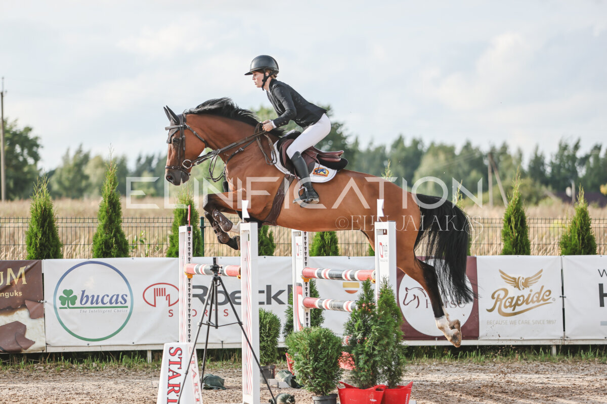 NHTS_2026_17_130cm_004