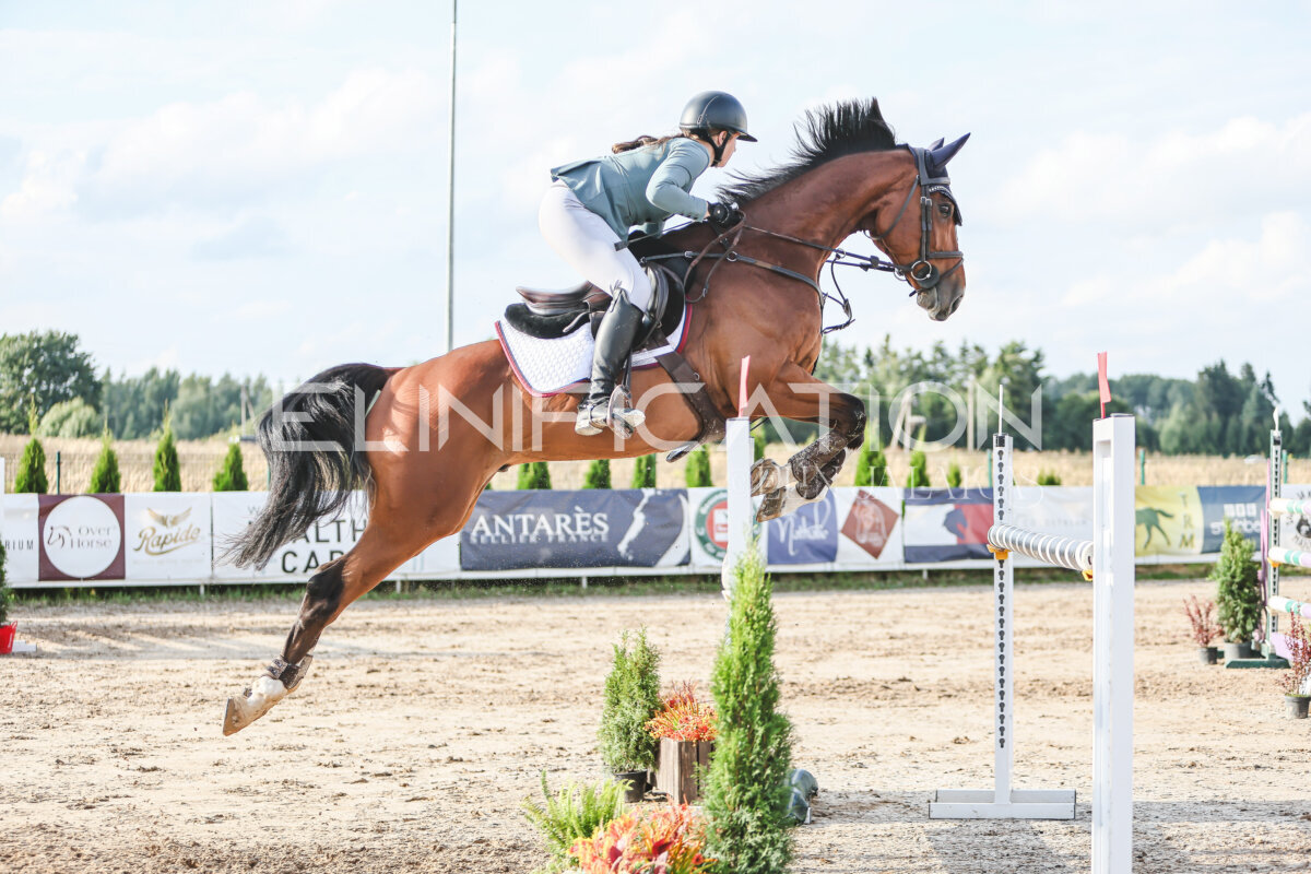 NHTS_2026_17_130cm_070