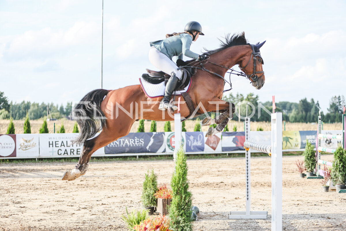 NHTS_2026_17_130cm_071
