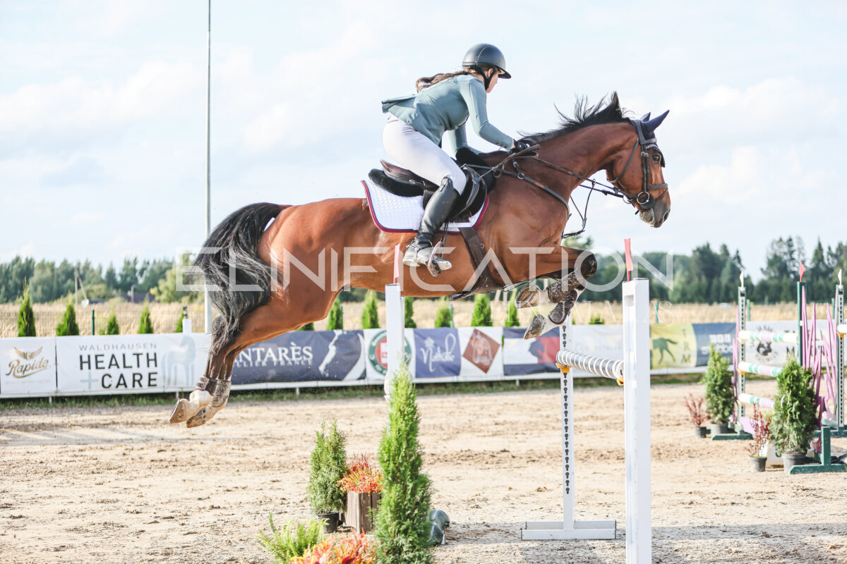 NHTS_2026_17_130cm_072