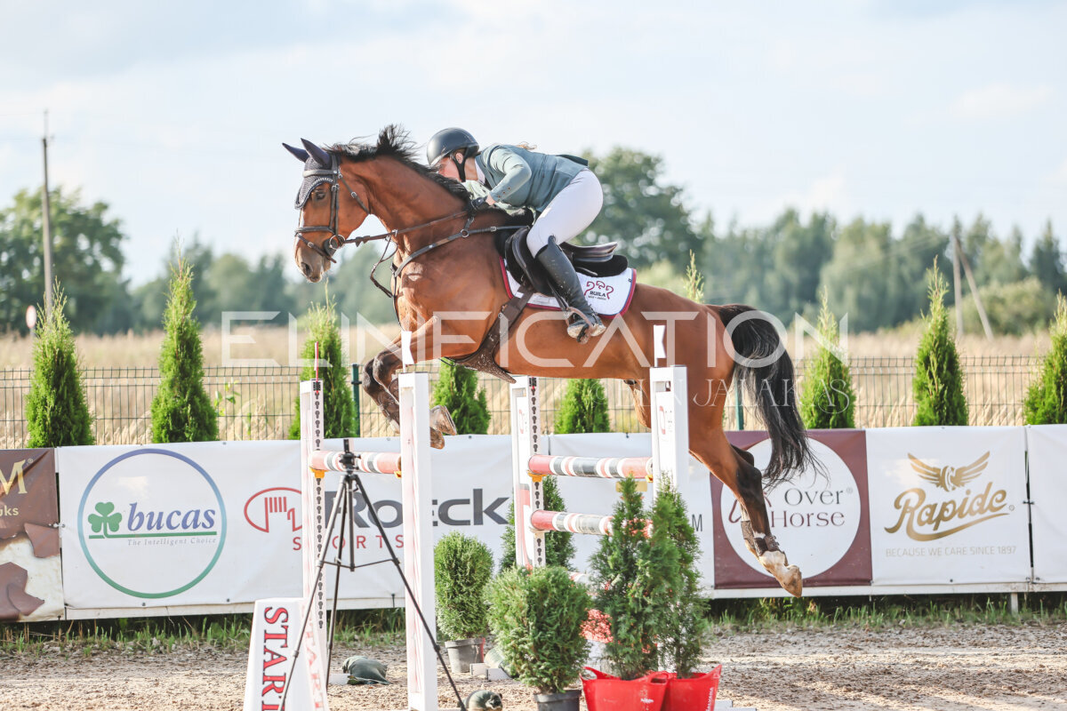 NHTS_2026_17_130cm_073