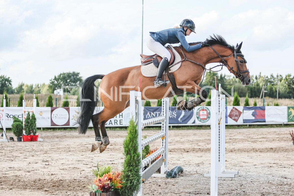 NHTS_2026_17_130cm_079