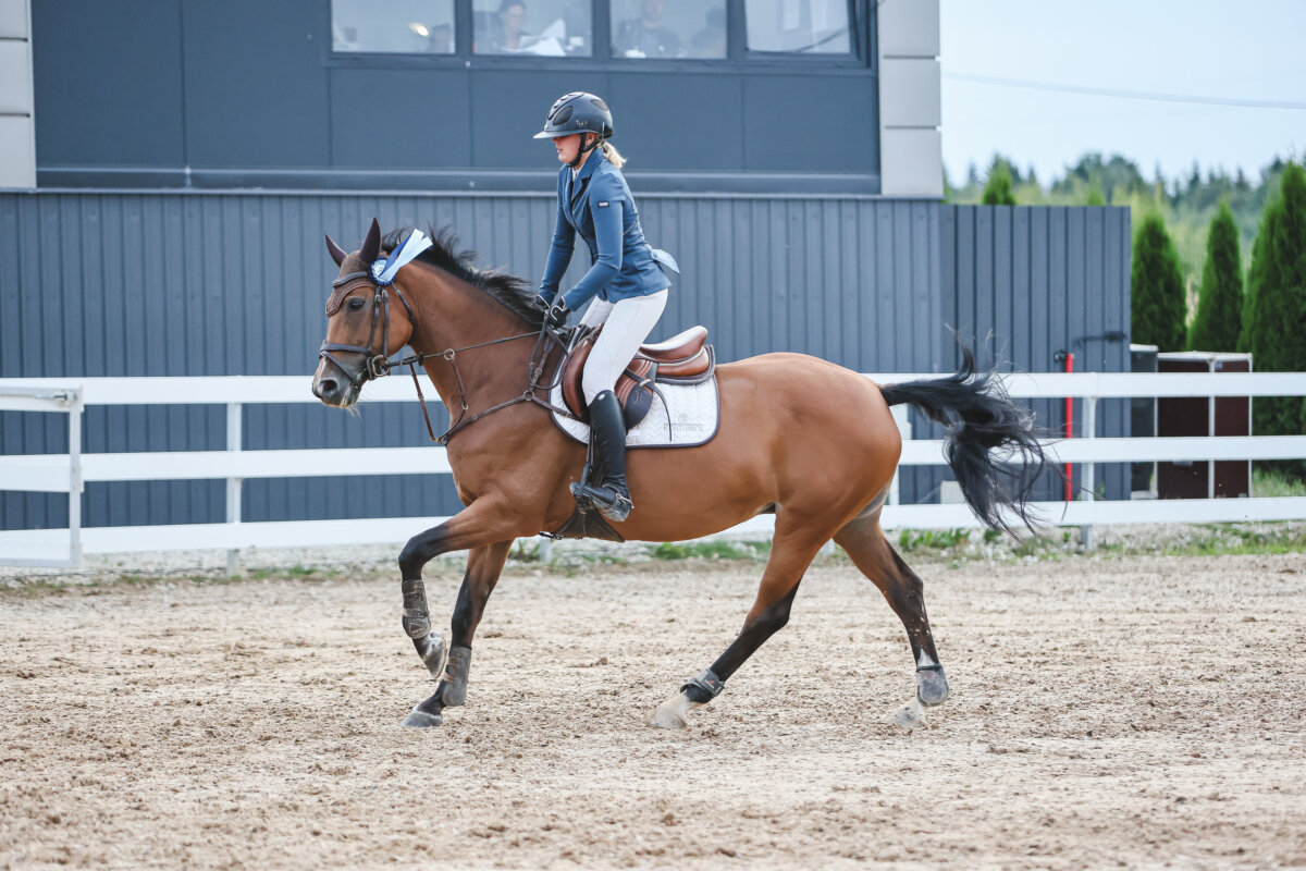 NHTS_2026_AT_049