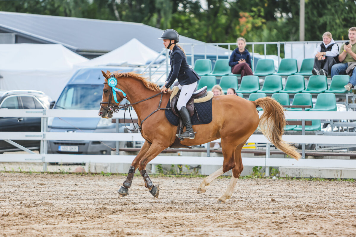 NHTS_2026_AT_094