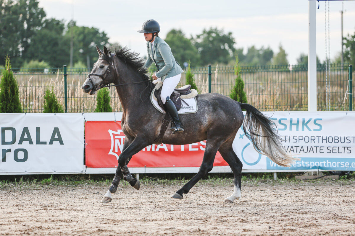 Sawerna_Trophy_2026_7_AT130cm_03