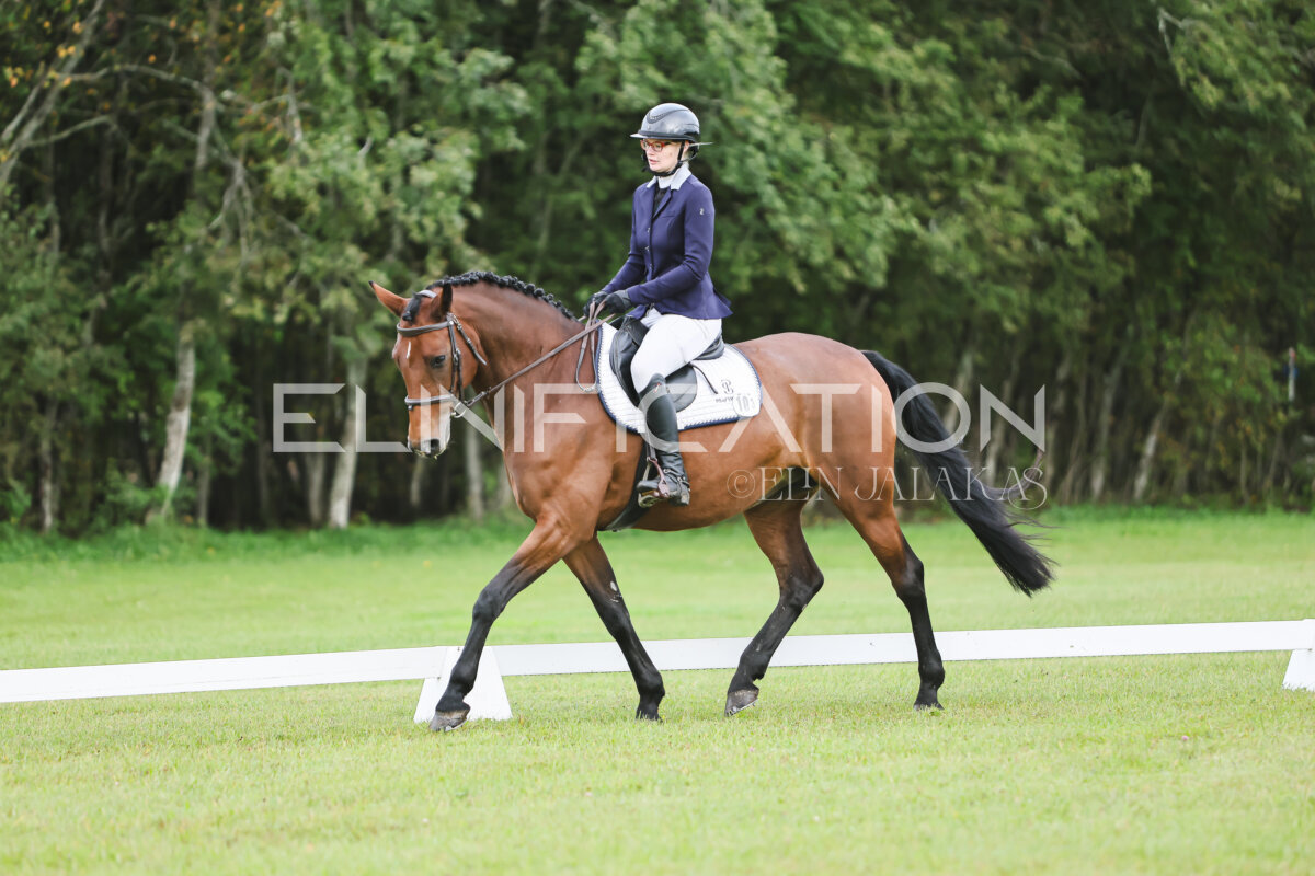 Kose_Sygis_CCN70_avatud_KS_094
