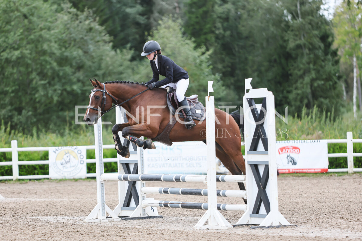 Kose_sygis_CCN70_avatud_TS_151