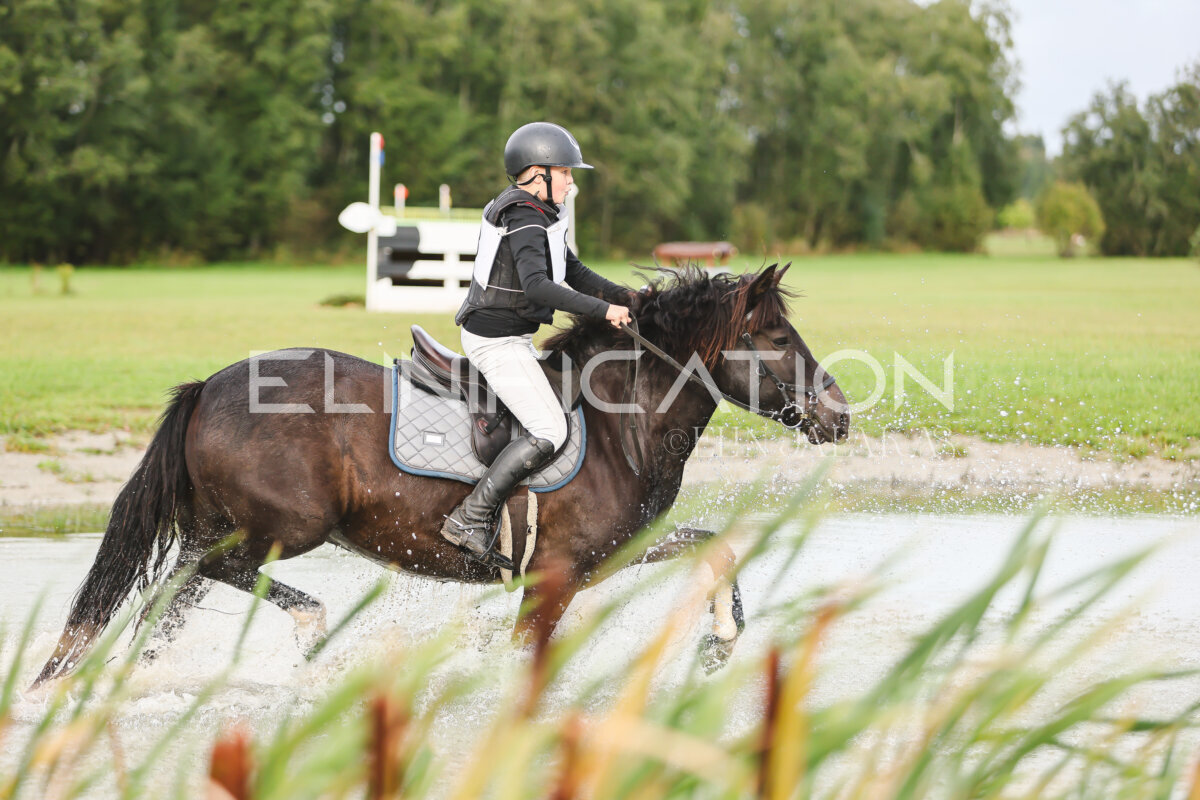 Kose_Sygis_CCN70_avatud_XC_144