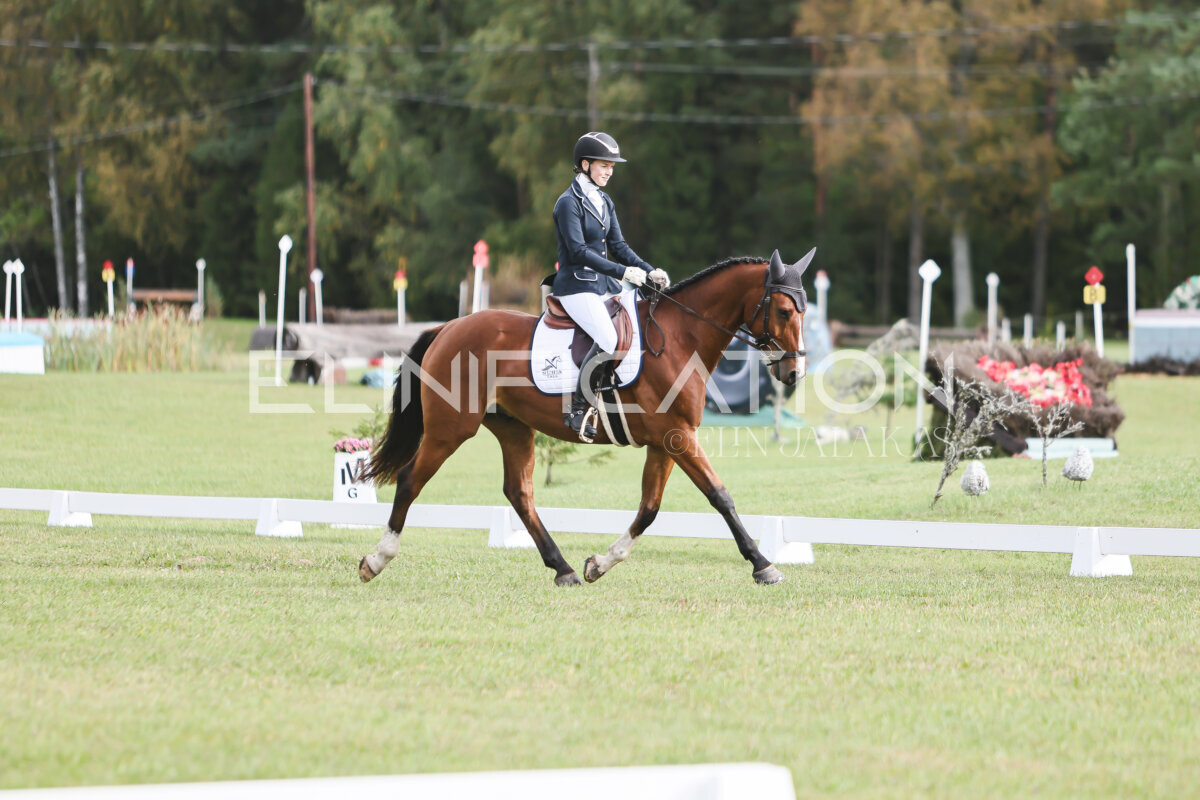 Kose_Sygis_CCN70_4A_KS__136