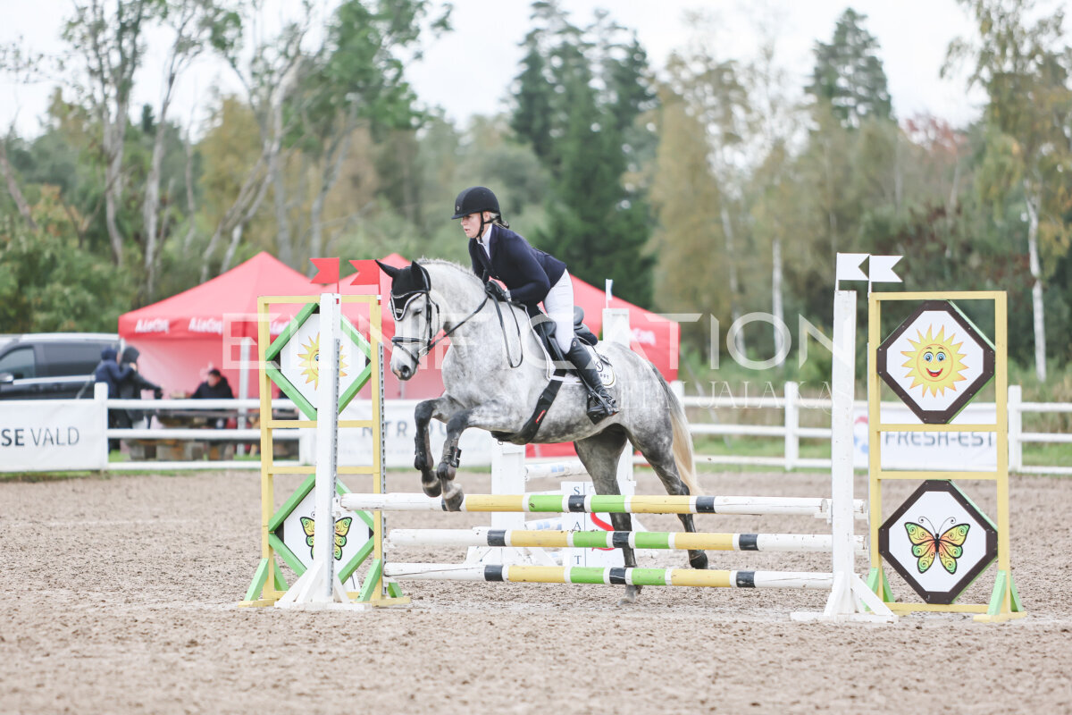 Kose_Sygis_CCN70_TS_038