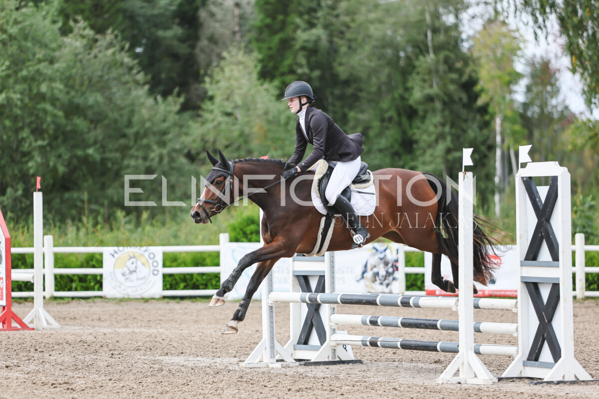 Kose_Sygis_CCN70_TS_090