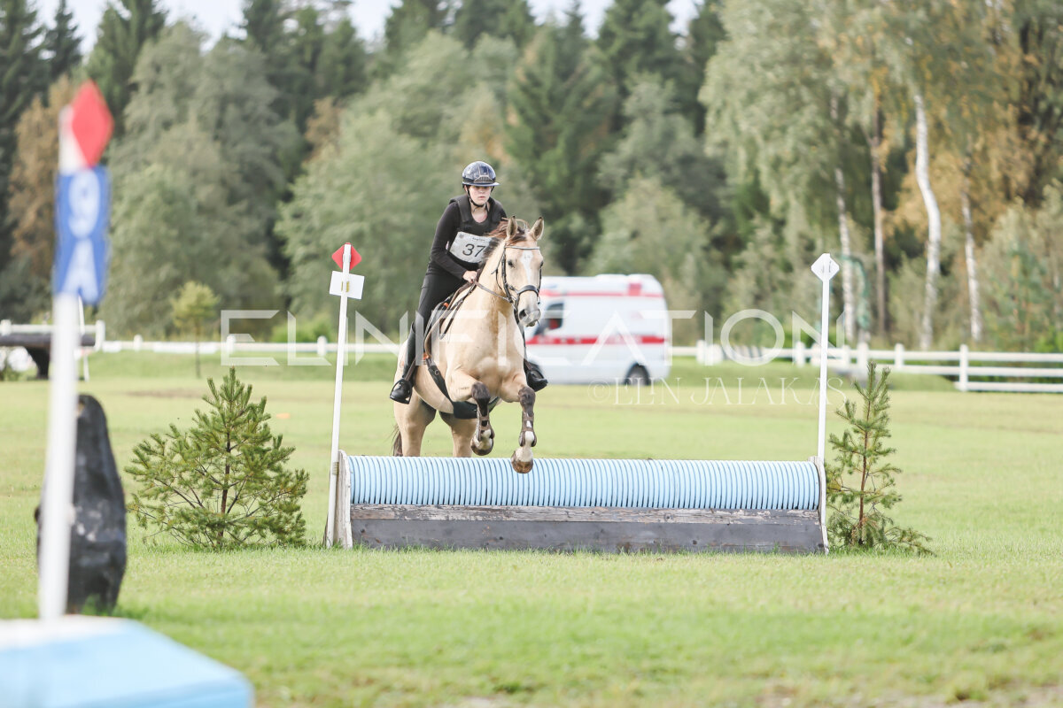 Kose_Sygis_CCN70_4A_XC_052