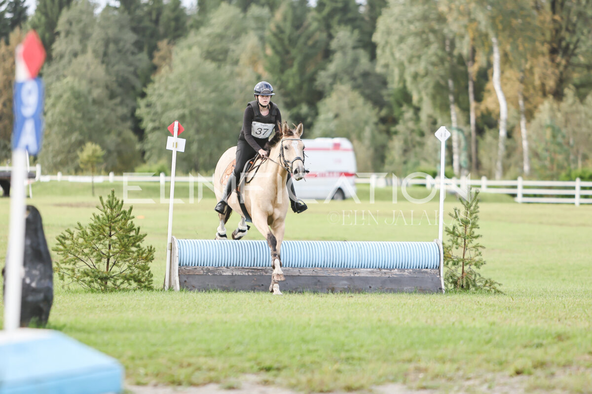 Kose_Sygis_CCN70_4A_XC_055