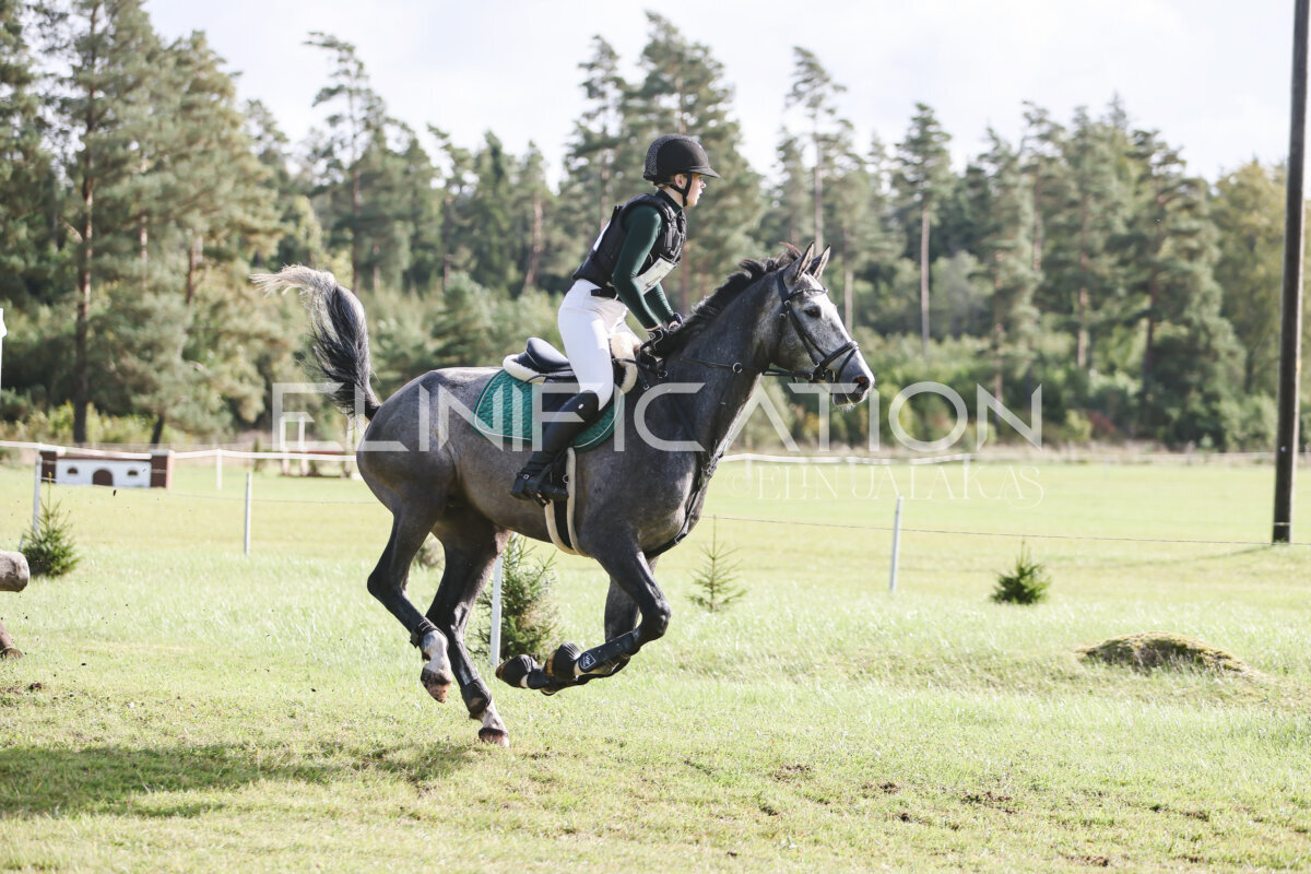 Kose_Sygis_CCN70_4A_XC_350