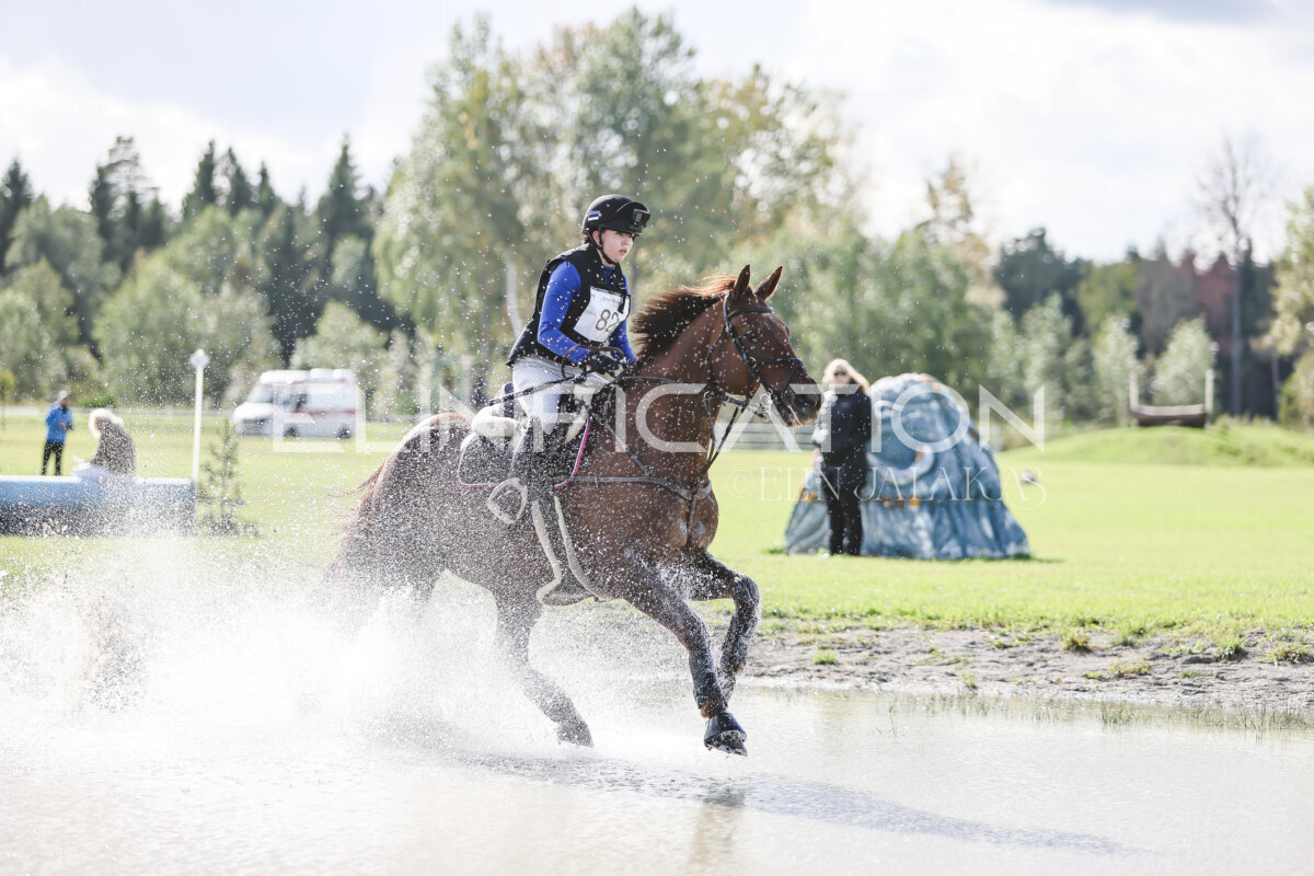 Kose_Sygis_CCN1_XC_117