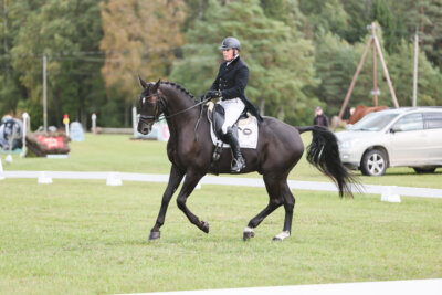 Kose_Sygis_CCN2-S_KS_01