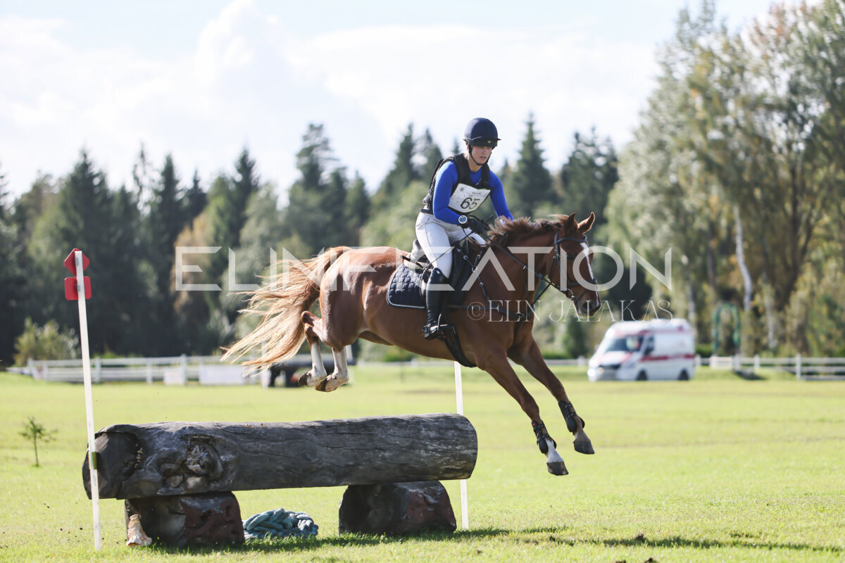 Kose_Sygis_CCN90_5A_XC_061