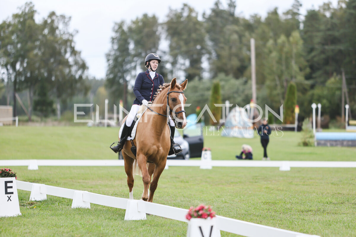 Kose_Sygis_CCN90_avatud_KS_072